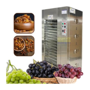 Máy Sấy Nho Khô