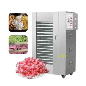 Máy sấy mứt dừa loại 20 khay sấy nhiệt